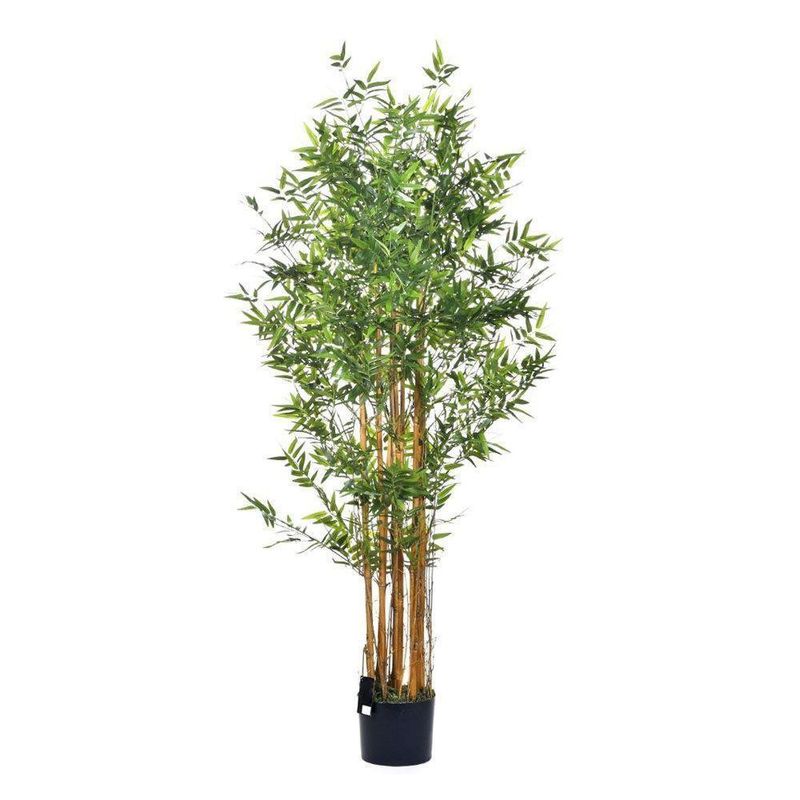 Planta Artificial Tropical 150 Cm - Concepts