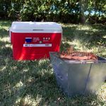 Hielera Nordic 48 Qt Colores Surtidos - Nyc