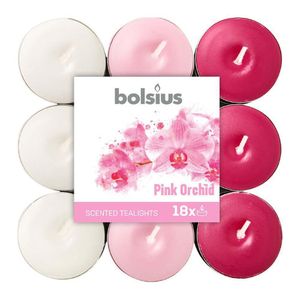 Vela Tealight 4Hr Set 18 Orquidea - Bolsius