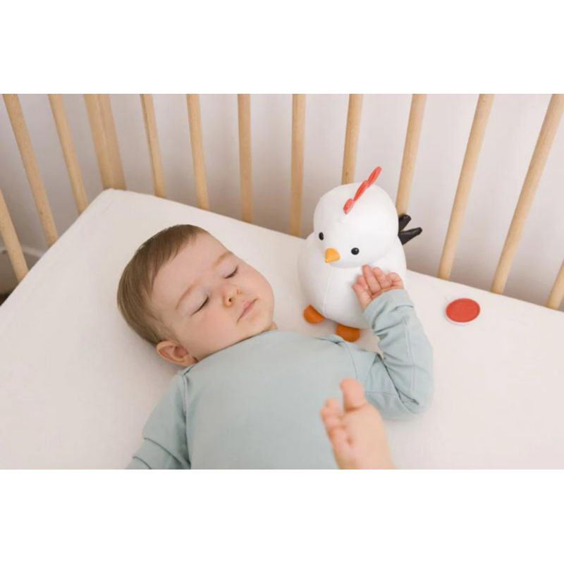 Paulette La Gallina - Little Big Friends