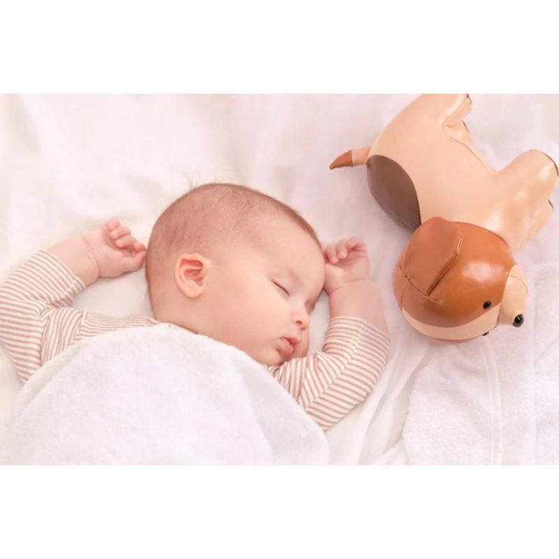 Adrien El Perro - Little Big Friends