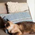 Cojín Pequeño Soñar 30 X 50 Cm