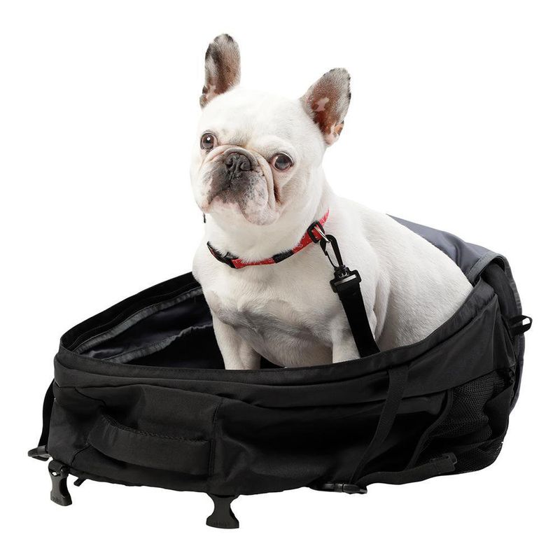 Mochila Cargador De Mascota Meraki - Totto