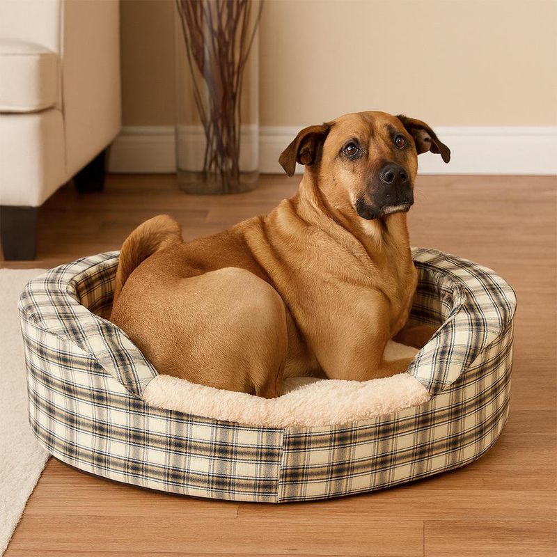 Cama para Mascotas Talla M Colores Surtidos