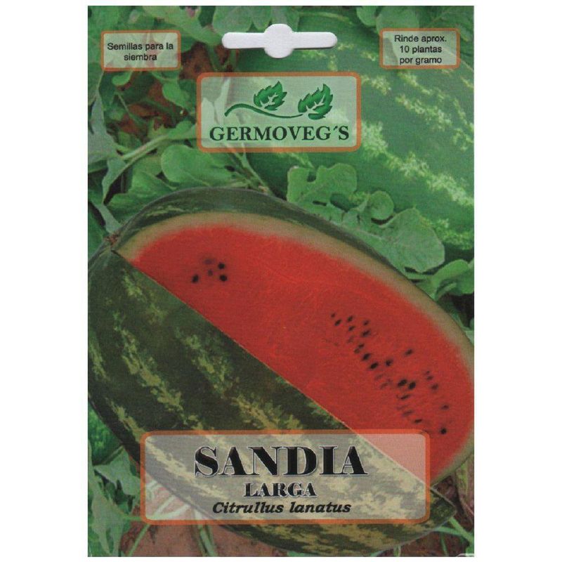 Semilla De Sandía Anguria - Germovegs