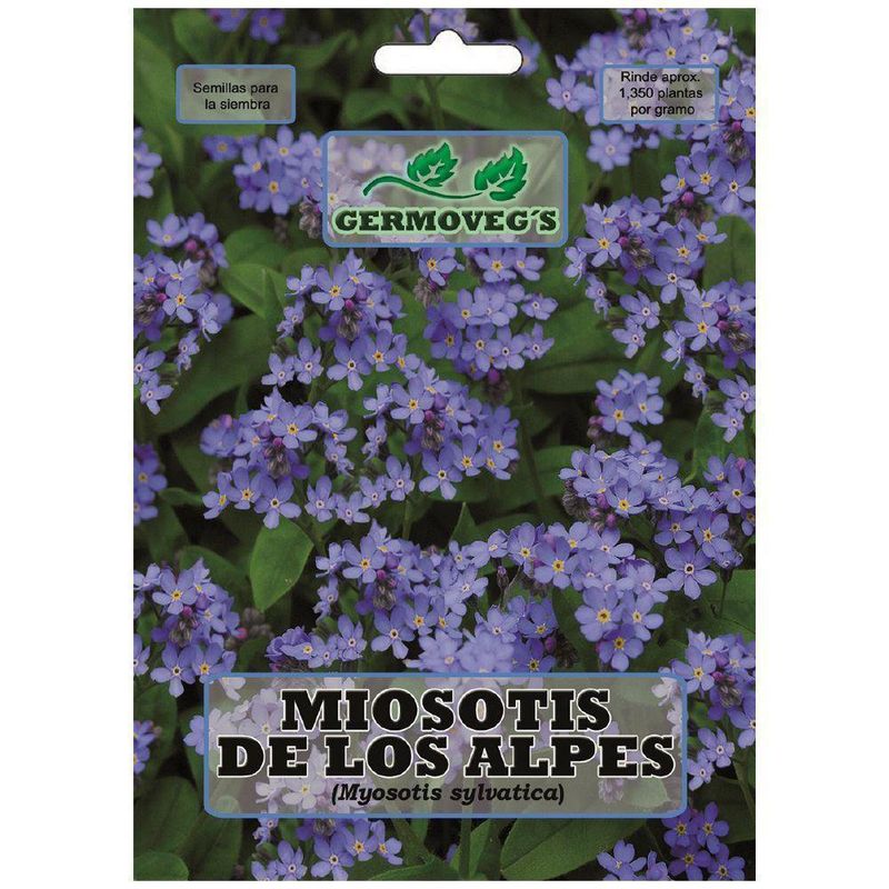 Semilla De Miostis Azul - Germovegs