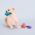 Set de 3 Juguetes para Perro Diseño Pesces