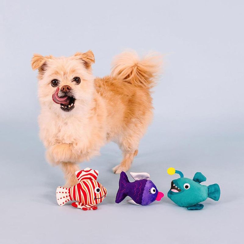 Set de 3 Juguetes para Perro Diseño Pesces
