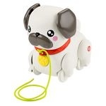 Perro Pug con Cordón