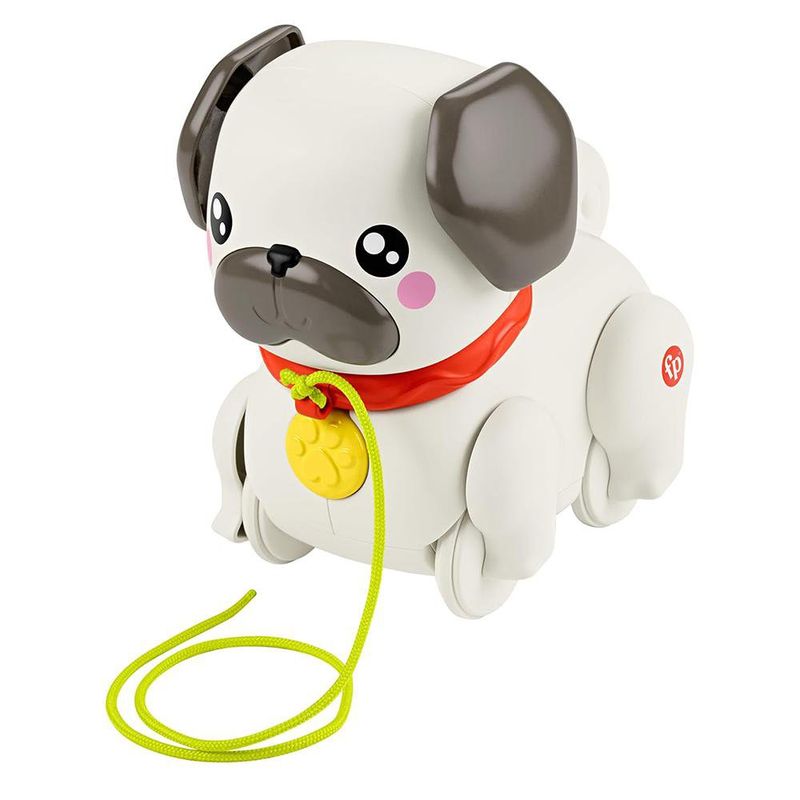 Perro Pug con Cordón