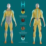 Masajeador Compacto de Percusión Calor/Frío con 4 Accesorios