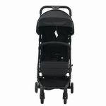 Carruaje Negro 15 Kg