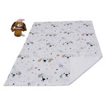 Set de Frazada y Peluche Diseños Surtidos