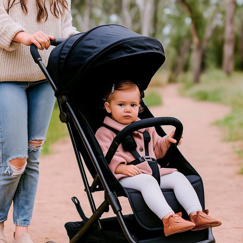 Carruaje Negro 15 Kg