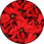 Alfombra Pascuas 100x100 Cm