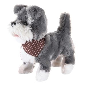 Pasea a Tu Cachorro Schnauze
