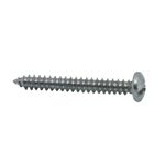 Set de 100 Tornillos para Lámina Cabeza Redonda Combinada 10 x 1 1/2 Plg