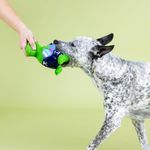 Juguete para Perro de Dinosaurio Nadador