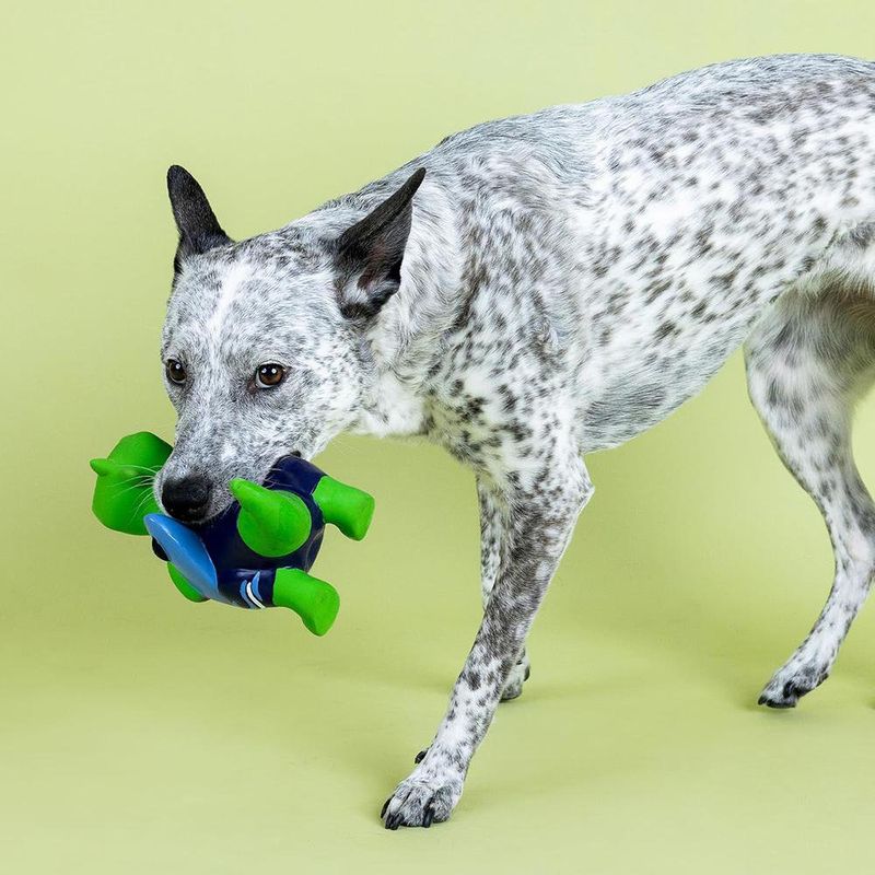 Juguete para Perro de Dinosaurio Nadador