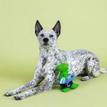 Juguete para Perro de Dinosaurio Nadador