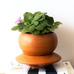 Maceta de Barro Redonda