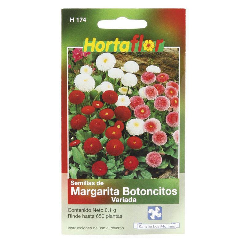 Semilla De Margarita - Hortaflor