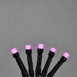 Serie LED Fucsia Neón de 100 Luces y 8 Funciones