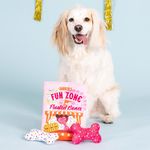 Set de 3 Juguetes para Perro Diseño Huesos