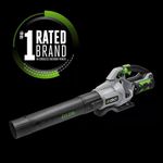 Kit de Sopladora Inalámbrica Power+ 615 Cfm
