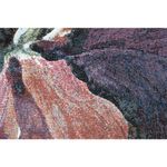 Alfombra Moderna de Área Argentum Multicolor 200x290 Cm