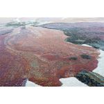 Alfombra Moderna de Área Argentum Multicolor 200x290 Cm