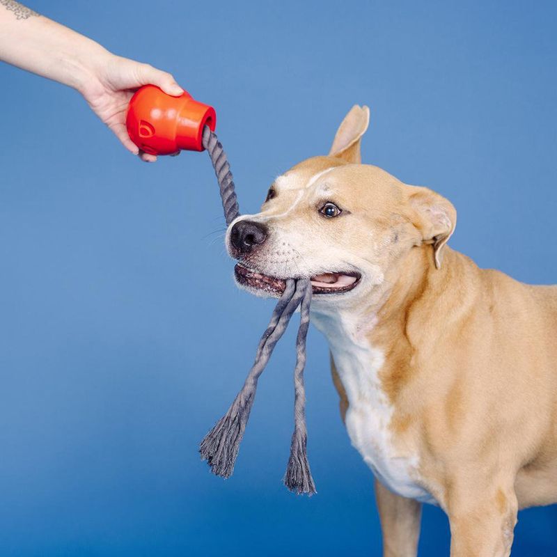 Juguete Interactivo para Perro
