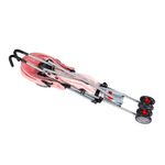 Carruaje Sombrilla Unicornio