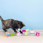 Set de 6 Juguetes para Gato Happy Birthday