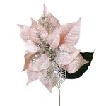 Pascua de 20 Plg Salmon