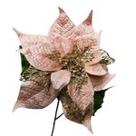 Pascua de 20 Plg Salmon