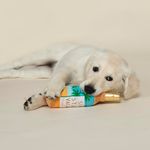 Juguete para Perro de Botella Sip Stay Vacay