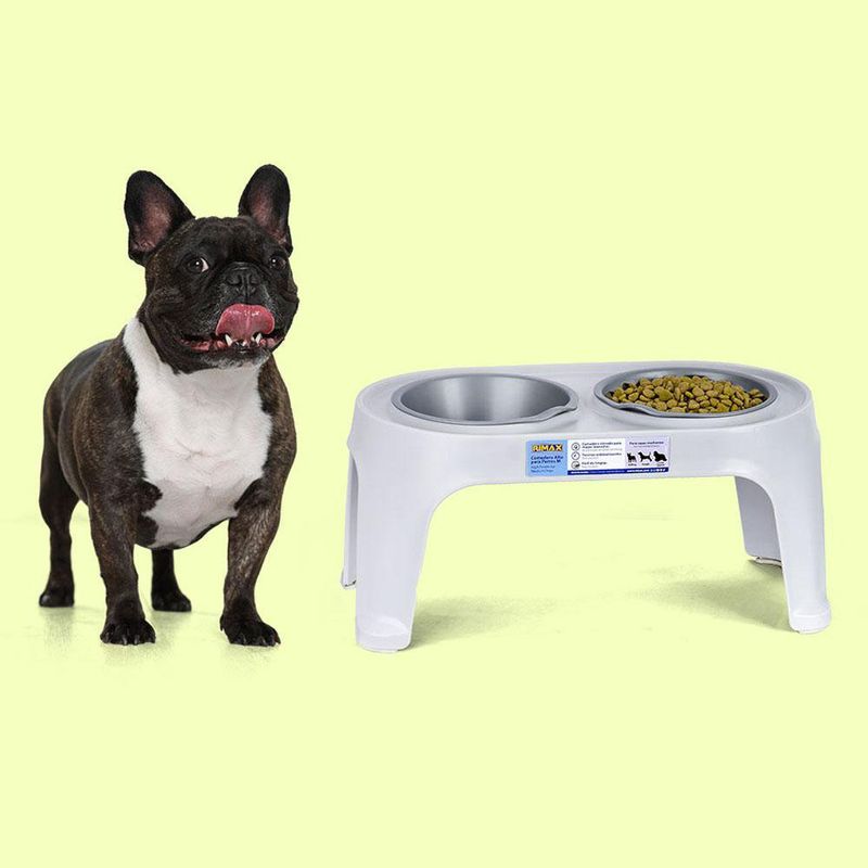 Plato Alto para Perro Mediano - Gris