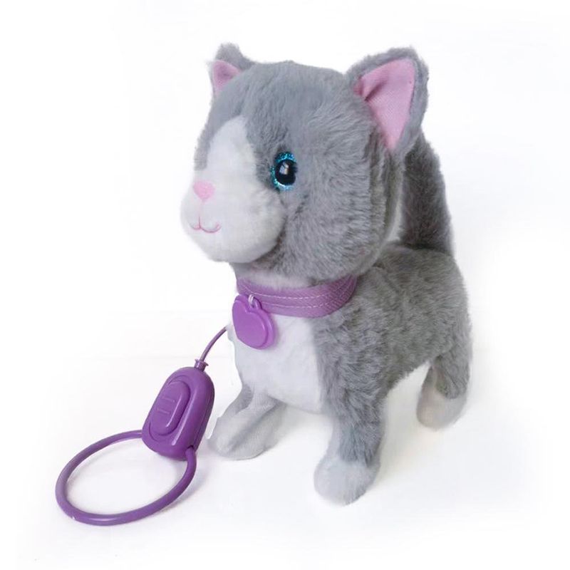 Pasea a Tu Gato Gris