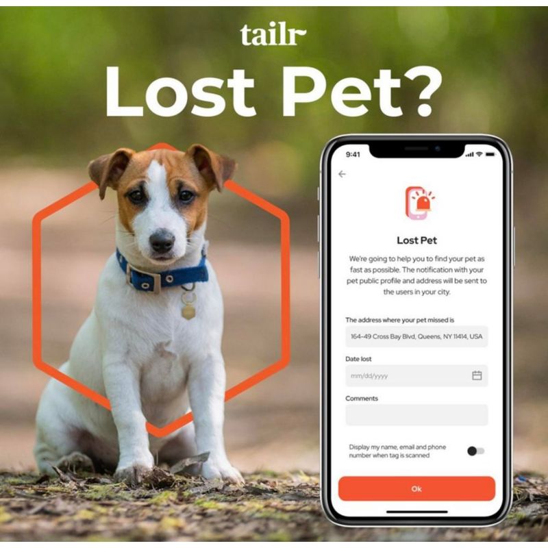 Collar para Perro Mediano con Código Qr Deslizable