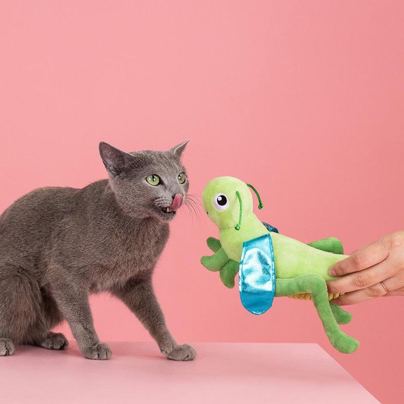 Juguete para Gato Saltamontes Hop On By