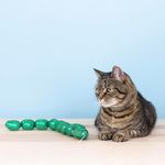 Juguete para Gato Not So Easily Ratled