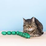 Juguete para Gato Not So Easily Ratled