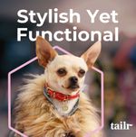 Collar para Perro Pequeño con Código Qr Deslizable