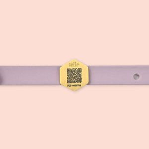 Collar para Perro Pequeño con Código Qr Deslizable