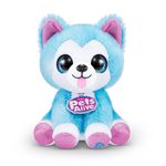 Rescate de Cachorro Pets Alive