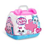 Rescate de Cachorro Pets Alive