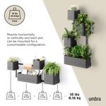 Repisa de Pared para Plantas Cubiko Negra