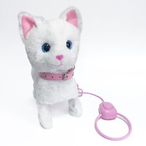 Pasea a Tu Gato Blanco