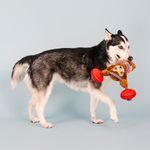 Juguete para Perro de Perezoso Musculoso